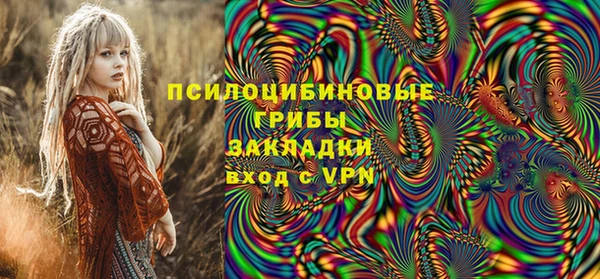 кокаин Белокуриха