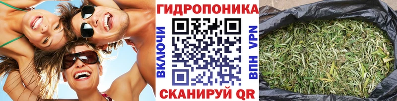 где купить наркоту Курильск гидра ССЫЛКА Каннабис гибрид